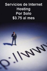 Diseñadores de Páginas Web para Empresas